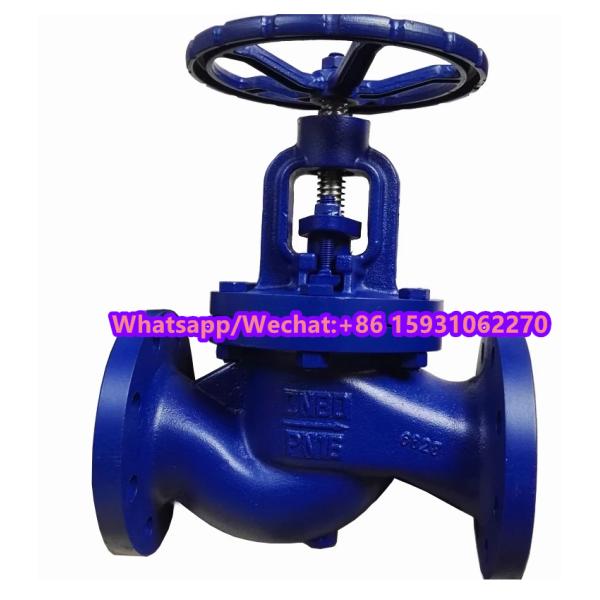 GG25/GGG50 flanged globe valve factory