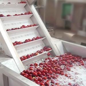 Wholesale Automatic Jujube Processing Line 50T/H Extraction And Beating from china suppliers
