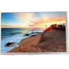 Buy cheap TFT 40 pin lcd display Module 8.0 Inch 800 X 1280 Dots Resolution MIPI Interface from wholesalers