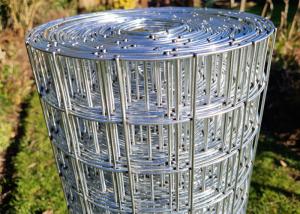 Wholesale Galvanized Welded Wire Mesh 3/4 Inch Hardware Cloth For Aquaculture from china suppliers