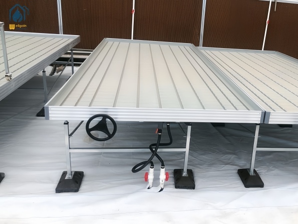Hydroponic 4x8 4x4 Customized Ebb And Flow Tray Modular Flood Tray ABS Nursery Seedling Big Trays