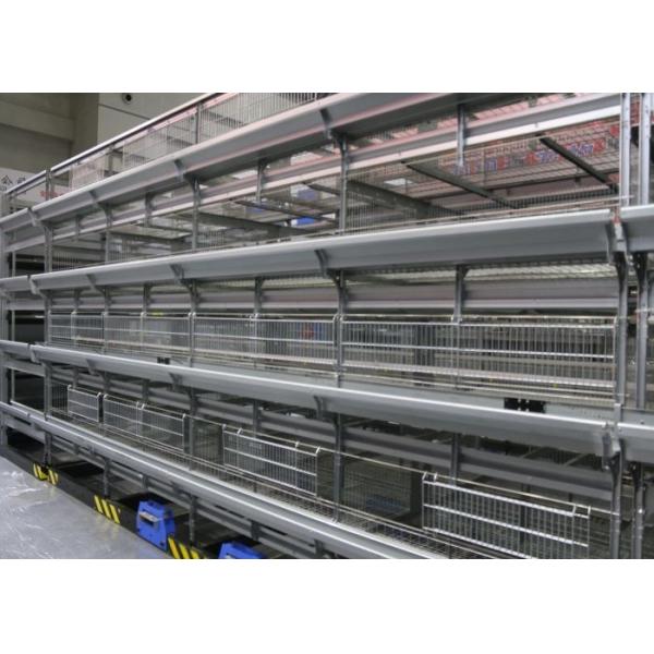 Low Noise Automatic Manure Removal System Chicken Farm Manure Scraper