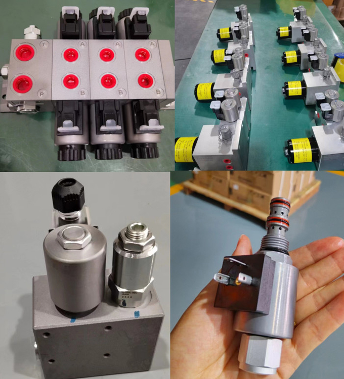 ODM/OEM Hydraulic Directional Valve Single Check Non Return Direction Harded With Flow
