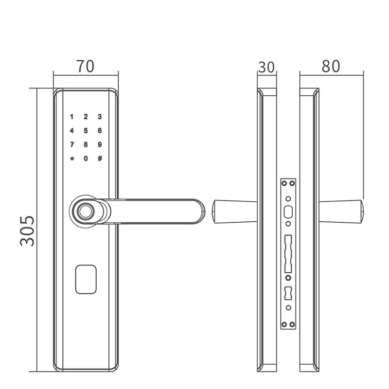 RoHS Tuya Smart Fingerprint Door Lock With Password Memory Card