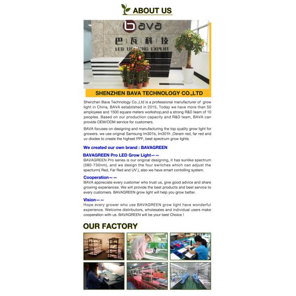 3000K 5000K LM301B Quantum Board 120W Samsung Indoor Garden Led Grow Lights