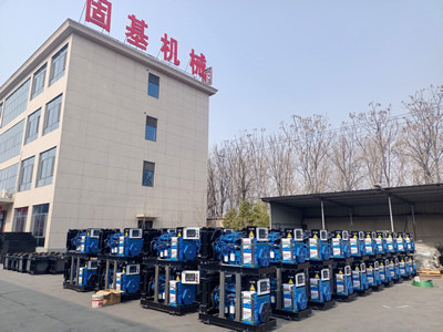 60 HZ Diesel Backup Generator Backup Power Source Silent Diesel Generator