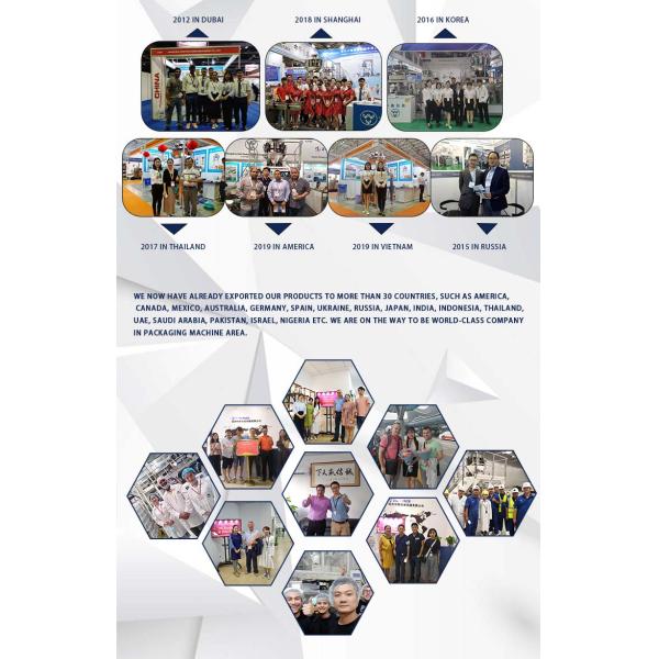 Full Automatic Chips Rotary Filling Machine Pouch Type