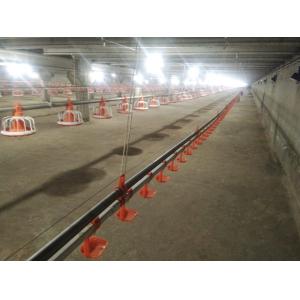 Floor Ground Chicken Water Feeding System Broiler Automatic Feeder