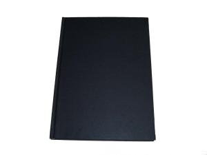 traveler's notebook sketch notebook