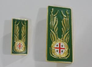 China footy badge,Lion badge, printing badge,Brass/Copper /Zinc alloy/Iron/pewter, bag pin badge on sale