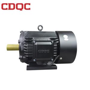 Universal Asynchronous Induction Motor Compact Structure Constant Speed