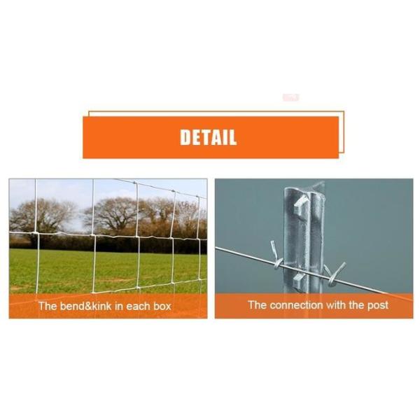 Rustproof 6ft Height Hinge Joint Field Fence With Galvanized Wire