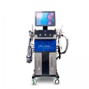 Wholesale 10 In 1 Microdermabrasion Machine 110V jet peel facial SPA24 from china suppliers