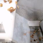 2 Tons Automatic Feeding Walnut Shelling Machine Featured Kernel Shell