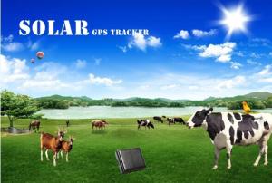 China free software gps /gsm/gprs sim card tracker animal ip67 waterproof gps vehicle tracker on sale