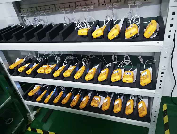 Portable Multi Gas Detector