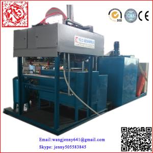 China Fully automatic paper egg dishes machine maker from China on sale