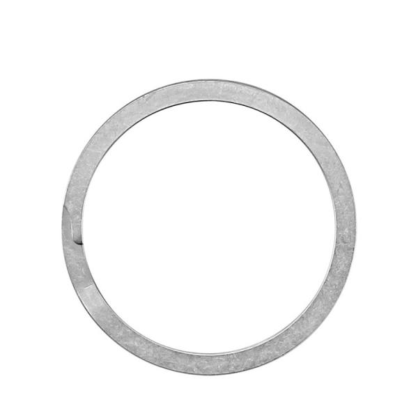 Galvanized 0.5mm SS304 Bearing Spring Washer