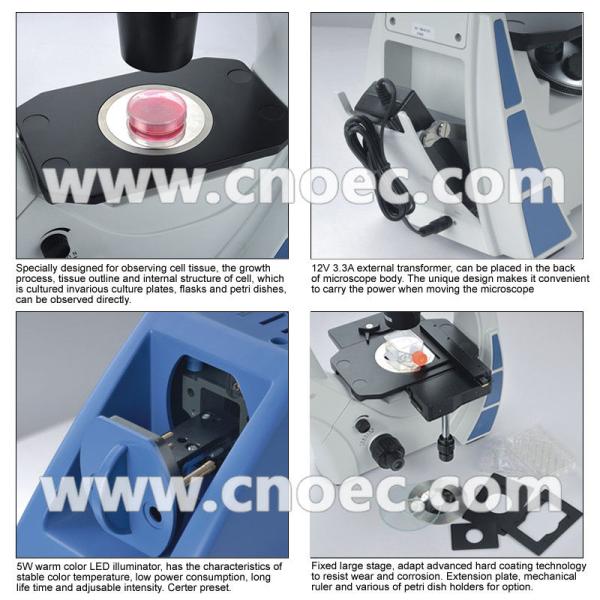 High Precision Binocular Phase Contrast Microscope For Research A19.0901