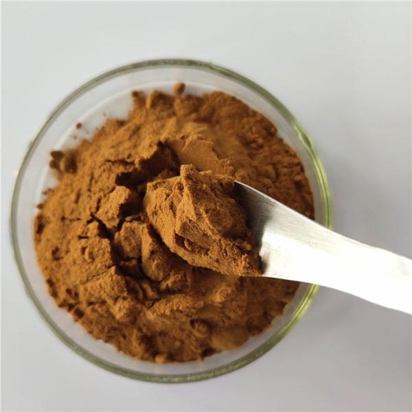 Quality buy Hot Sale energy supplement phyllanthus emblica extract for sale