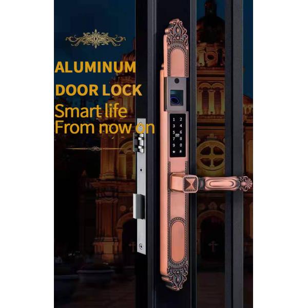 Multi-function Zinc Alloy Outdoor Door Lock with Double Side Fingerprint and Sunscreen