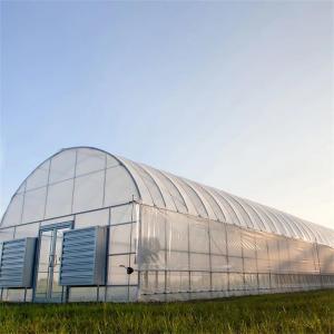 China Plastic Film Tunnel Greenhouse Kit Width 6m 8m 9m For Growing Vegetables Flowers Fruits on sale