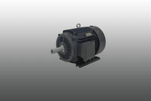 Wholesale High Torque Permanent Magnet Motor Energy Saving Liquid Cooled from china suppliers
