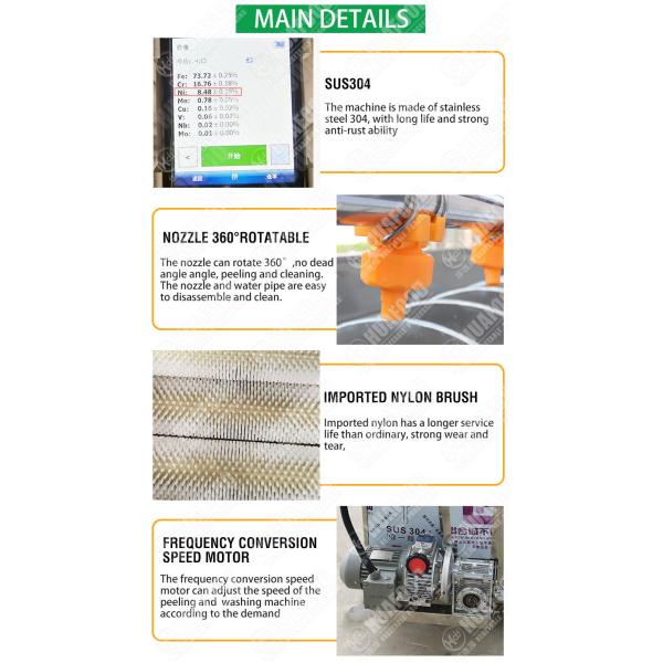 Large Capacity Cactus Fruit Brush 2TPH Vegetable Washing Machine