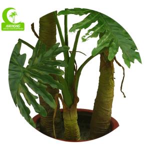 Artificial Plants Wholesale