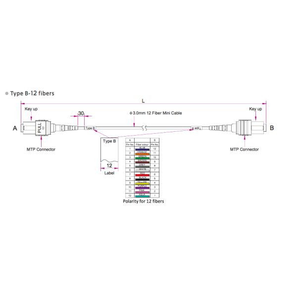 MPO-MPO Female 12 Fibers Low Loss 0.35dB Type A B Plenum (OFNP) OS2 9/125 Single Mode Trunk Cable, Yellow