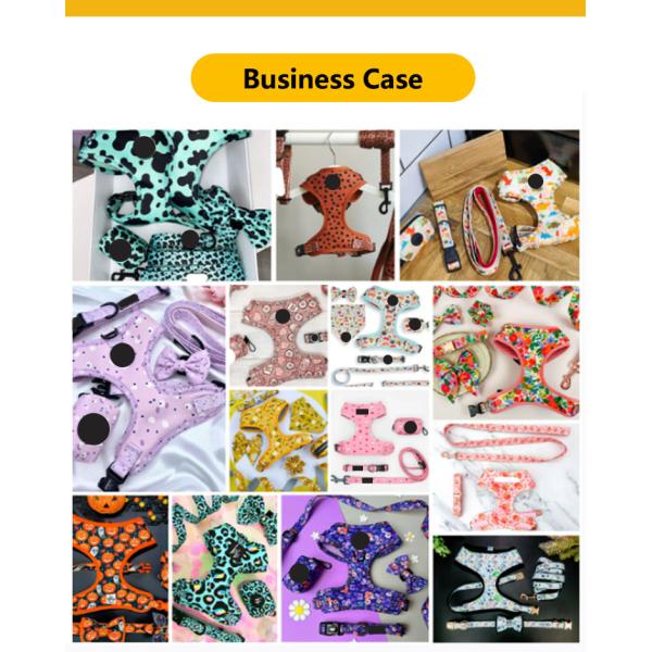 XS S M L XL Puppy Harness And Leash Set Air Mesh Soft Neoprene Collar And Lead Set