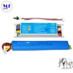 Self-Detect LED Emergency Driver Panic Light Ballast Compatible IP20 Constant