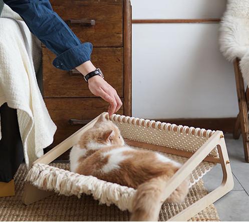 cat lounger bed