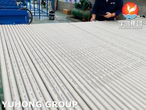 Wholesale ASTM A213 TP304, TP304L , TP316L , TP321 , TP310S, TP347H , TP317L ,16 BWG 20FT Heat Exchanger Tube from china suppliers
