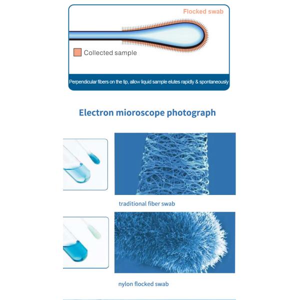 Nylon Flocked Nasal Swab Covid Virus Detection Sampling Swab Multi Specification