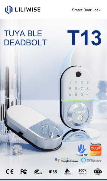 Quality Electronic Digital Deadbolt Smart Lock APP Management System for sale