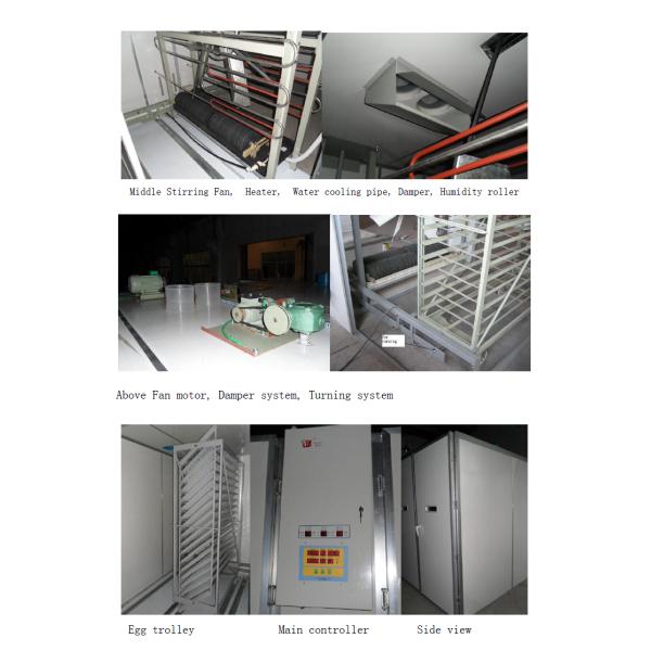 Commercial Single Stage Incubator Egg Hatching Machine 20000 Eggs 5.7kw