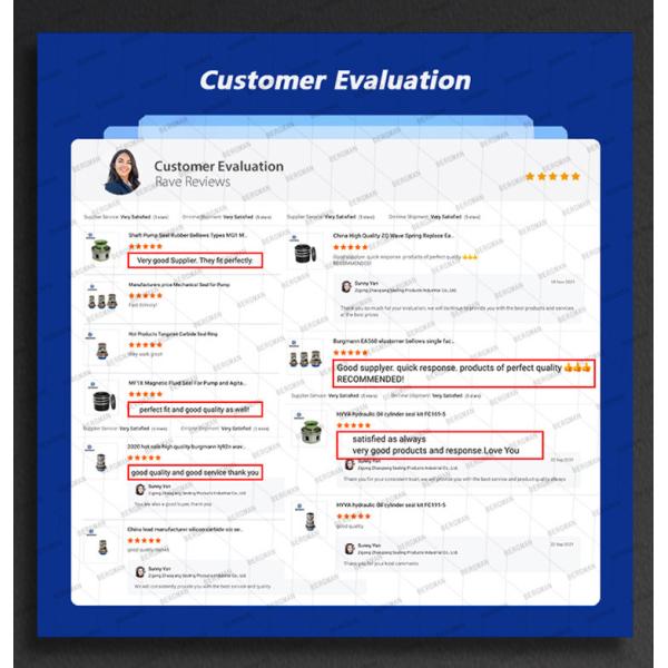BERGMAN Replace Wilo EMU Pump Seal 35mm 50mm 75mm Sewage Pump Mechanical Seal Container