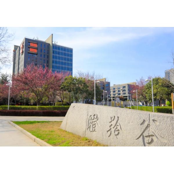 LEFOO Micro Air Differential Pressure Gauge 0-60PA Positive And Negative Pressure Gauge