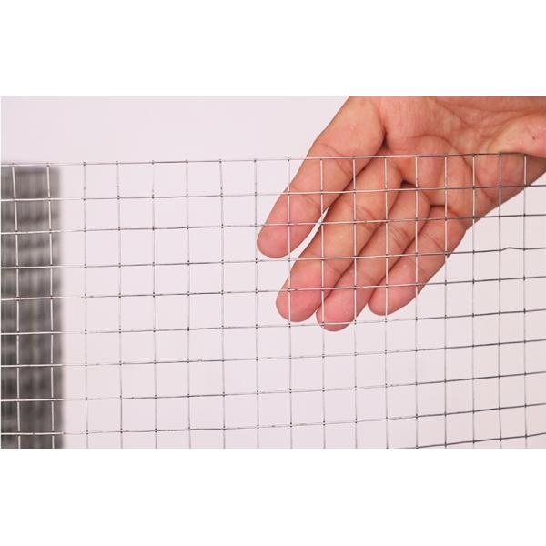 Galvanized Steel Welded Wire Mesh Rolls for Customized Construction Solutions