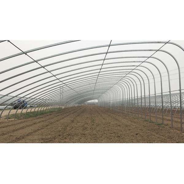 Efficiently Grow Crops Solar Agricultural Greenhouses All Year Round