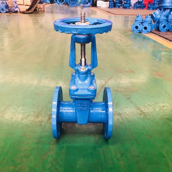 Resilient Rubber Seat Gate Valve 2''-48'' Gate Valve Ductile Iron