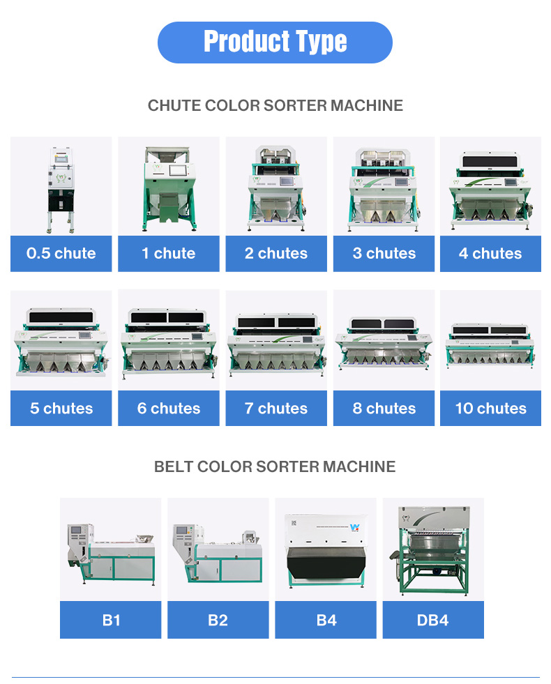 Wenyao Raisin Color Sorting Machine Automatic Intelligent CCD Camera Nuts Color Sorter