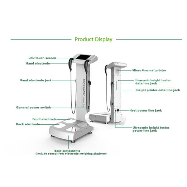 Medical Fat Body Fat Composition Machine Fat Monitoring CE ODM For Gym
