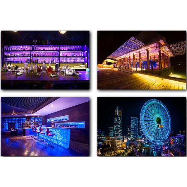 WS2815 5050 RGB LED Strip 24V 5050 Full Color Led Strip Light Tape