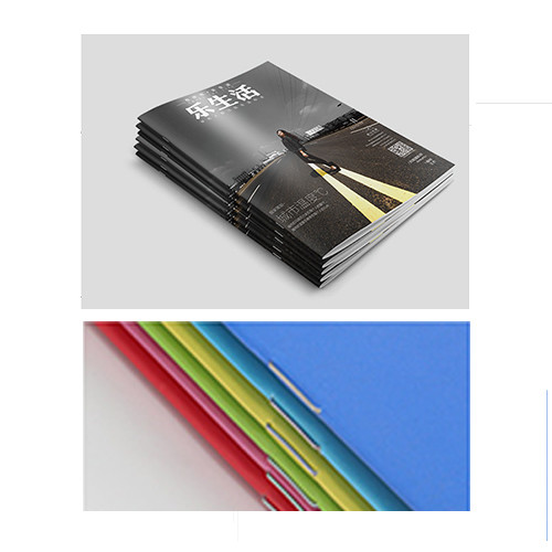 OEM Brochure Printing Services , Leaflet / Air Flyer Printing Services