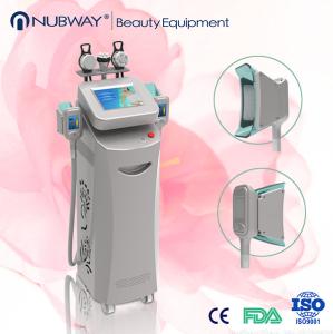China Christmas Promotion! China Factory Hot Sales Best Cryolipolysis Fat Freezing Body Fat Removal Machine on sale