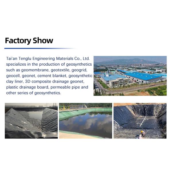 CE Certified HDPE Black Anti-Seepage Geomembrane for Industrial Design Style Landfill