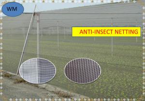 Wholesale HDPE Insect Mesh Netting Anti-Insect Netting For Agricultural from china suppliers