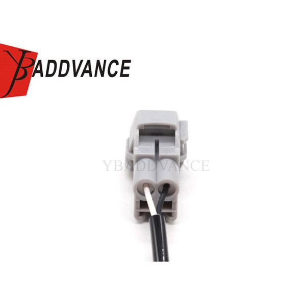 Custom Automotive Grey 2 Pin Male Connector Waterproof Wire Harness For Car